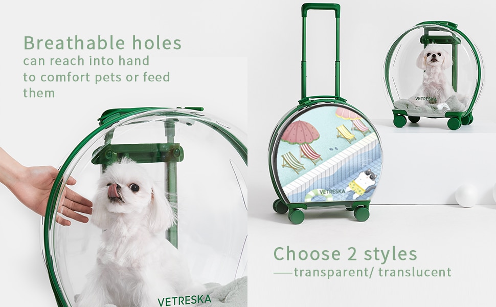 Transparent Bubble Luggage Trolley Case Silent Wheel Dog Travel Bag Carrying and Bags for Dogs Backpack Large Transport Box Cats