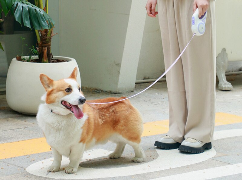 3/5M Dog Leash LED Retractable Pet Leads Traction Rope Belt Durable Large Dog Walk Run Leash Lead Automatic Cat Lead Extension