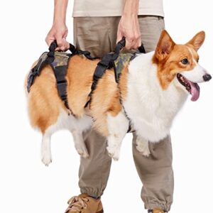 Coodeo Dog Lift Harness, Full Body Support & Recovery Sling, Pet Rear Leg Support Rehabilitation Lifts Vest, Dog Carrier for Senior Dogs with Joint Injuries, Arthritis, Paralysis Up Stairs (XXXLarge)