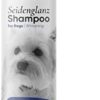 Pawlie's Dog Shampoo White Fur - Grooming Light Fur, Dog Shampoo for White Dogs, Dog Shampoo Maltese Dog Accessories, Poodle Shampoo, Shih Tzu, Havanese Shampoo, Pomeranian Shampoo
