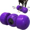 Aresvrgo Snack Ball Dog Intelligence Toy, Fun Dog Toy Ball IQ Improvement Training, Squeaky Funny Pet Slow Feeder, Interactive Dog Toy, for Large Dogs and Medium (Purple)