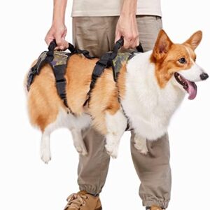 Coodeo Dog Lift Harness, Full Body Support & Recovery Sling, Pet Rear Leg Support Rehabilitation Lifts Vest, Dog Carrier for Senior Dogs with Joint Injuries, Arthritis, Paralysis Up Stairs (Medium)