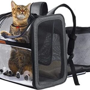 Pet Carrier Backpack for Puppy Dogs Cats 10kg - Expandable Transparent Portable Breathable Mesh Transport Bag, Airline Approved Foldable Spacious Top Opening Large Rucksack for Travel Daily Use