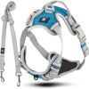 Dog & Dress Dog Harness Lead for Large Dogs, Adjustable Non-Pull Harness Set with 2 m Dog Lead, 2 Carabiners and 3 Rings, Reflective Materials, Breathable & Dirt-Resistant