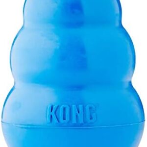 KONG License KC840 20 Toy, Blue, X-Large