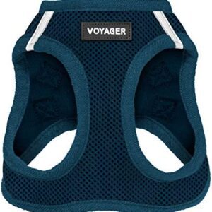 Best Pet Supplies, Inc. Voyager Step-in Air Dog Harness - All Weather Mesh, Step in Vest Harness for Small and Medium Dogs - Blue (Matching Trim), XS (Chest: 13 - 14.5" ) (207T-BUW-XS)