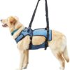 COODEO Dog Lift Harness, Support & Recovery Sling, Pet Rehabilitation Lifts Vest Adjustable Breathable Straps for Old, Disabled, Joint Injuries, Arthritis, Paralysis Dogs Walk (Large)