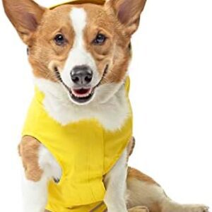 Canada Pooch CP01461 Torrential Tracker Rain Jacket, Size 26, Yellow