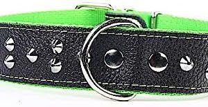 Capadi K0395 Dog Collar for Bulldoge with Small Studs - Made from Real Durable Leather - Soft Lined - Green - Width 40 mm - Length 65 cm