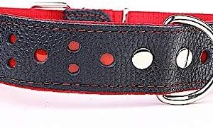 Capadi K0422 Reflective Dog Collar in Real Durable Leather with Soft Lining Width 40 mm Length 55 cm Red