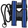 Cesar Millan Pack Leader Collar™ - Training Collar of The Dog Whisperer (Medium, Blue)