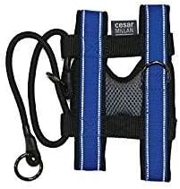 Cesar Millan Pack Leader Collar™ - Training Collar of The Dog Whisperer (Medium, Blue)