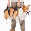 Coodeo Dog Lift Harness, Full Body Support & Recovery Sling, Pet Rear Leg Support Rehabilitation Lifts Vest, Dog Carrier for Senior Dogs with Joint Injuries, Arthritis, Paralysis Up Stairs (XLarge)