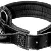 DINGO GEAR Leather Collar for Dog, Amortized, Black, with a Handle, Handmade Drago S04020, 40-48cm