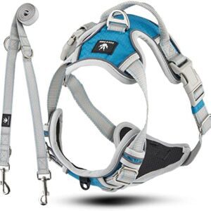 Dog & Dress Dog Harness Lead for Large Dogs, Adjustable Non-Pull Harness Set with 2 m Dog Lead, 2 Carabiners and 3 Rings, Reflective Materials, Breathable & Dirt-Resistant