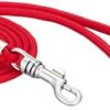 Doggyman Thin Round Leash Red for Ultra-Small Dogs, 4mm