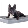 Dogoo® - Dog Bed L | 435 gm² Fluffy Fabric for Medium Dogs 90 x 70 cm | Orthopaedic Cushion for Dogs, Good The Joints | Washable | Grey | Size M-XL | Dog Mattress Dog Mattress