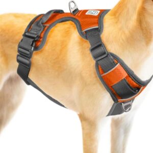 Embark Adventure Dog Harness, Easy On Off Front Back Leash Attachments & Control Handle - No Pull Training, Size Adjustable Non Choke (Extra Large - Orange)