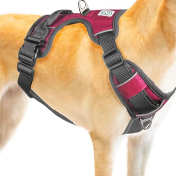 Embark Adventure XL Dog Harness No-Pull Dog Harnesses for Extra Large, Medium and Small Dogs. 2 Leash Clips, Front & Back with Control Handle, Adjustable Pink Dog Vest, Soft & Padded for Comfort