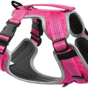 Embark Sports Dog Harness, Light and Breathable Design - Easy On and Off, No Pull Training, Size Adjustable, Non Choke with Handle for Control (Large, Pink)