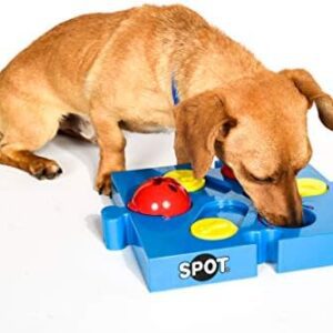 Ethical Pets Spot "Seek-a-Treat Flip 'N" Slide Treat Dispenser for Dogs