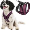 Gooby - Comfort X Head-in Harness, Choke Free Small Dog Harness with Micro Suede Trimming and Patented X Frame, Purple, Small