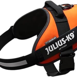 Julius-K9, 16IDC-FOR-2, IDC Powerharness, dog harness, Size: 2, UV Orange