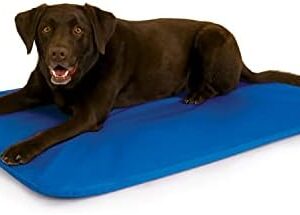 K&H Pet Products Cool Bed III Dog Cooling Mat, Cooling Dog Beds for Large Dogs, Dog Cooling Mat for Dog Carrier, Outdoor Dog Bed Cooling Pad for Dog, Pet Cooling Mat - Blue Large 32 X 44 Inches