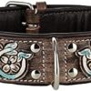 MICHUR Halona Leather Dog Collar Leather Punched Hand-Carved Indian Black Brown in Various Sizes