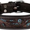 MICHUR Luis Leather Dog Collar Brown with Blue Accents Beautiful Punching Pattern in Various Sizes