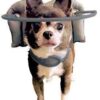Muffin's Halo Guide, 1X-Large, Durable Safeguard for Blind Dog's Head, Nose, Face and Shoulders from Bumping Into Hard Surfaces