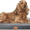 ORIONISPET Memory Foam Dog Bed (Medium)