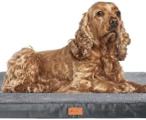 ORIONISPET Memory Foam Dog Bed (Medium)