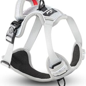 ORKANI Dog Harness 2022 - Non-Pull Harness with Safety Lock, Padded Handle and Freedom of Movement for Medium and Large Dogs (XL, Grey)