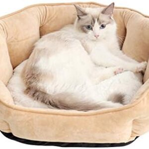 PETCUTE Dog Bed, Cat Bed for Medium Dogs, Washable Dog Cushion, Extra Soft Dog Basket, Fluffy Shell-Like Dog Sofa (Khaki 55 x 49 x 22 cm)