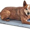 PiuPet® Cooling Mat for Dogs 90 x 50 cm I 2 Designs in 1 I Can Be Used on Both Sides I Cooling Mat Dog Cooling Blanket for Dogs I Dog Mat Grey I Also Suitable for Large Dogs and Cats