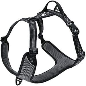 TRUE LOVE Dog Harness Outdoor Adventure II Reflective Vest 2 Leash Attachments Matching Leash Collar Available TLH6071 （Black, XL: Chest 82-106cm/32.5-42in