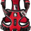 WINHYEPET True Love No Pull Dog Harness Extra Reflective Pet Harness for Small Medium Large Dogs Adjustbale for Running Walking Padded Soft Mesh Vest Easy Control TLH56512(Red,XL)