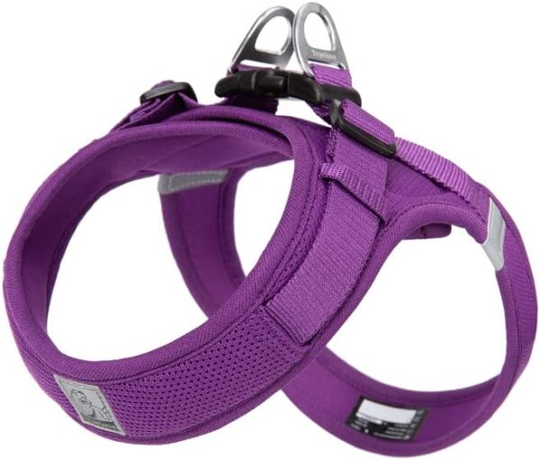 WINHYEPET Truelove Step-in Dog Harness Soft Mesh Reflective Breathable Dog Harness, Easy Walk Harness with Safety Buckle for Extra Small and Small Dogs, Dog Harness TLH3013(Purple, 2XS)