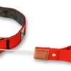 WowWow Professional Dog Collar with Lead - Red - Size S 33-37 cm, 185 g Lightweight - Innovative Collar with Integrated Lead - Known from The Lions Höhle