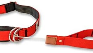 WowWow Professional Dog Collar with Lead - Red - Size S 33-37 cm, 185 g Lightweight - Innovative Collar with Integrated Lead - Known from The Lions Höhle