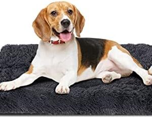 Zvonema Plush Dog Bed, Dog Cushion, Large Dogs, Washable Dog Basket, Dog Mat, Non-Slip Dog Sofa, Dog Mattress for Medium Dogs and Cats (61 x 79 cm)