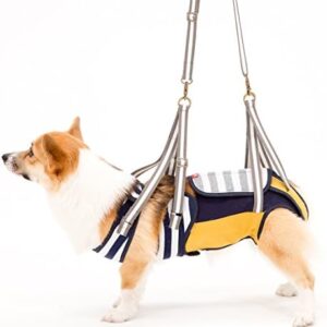 with LaLaWalk Walking Aid Harness for Medium Dogs and Corgis, Border Mustard, Dog CL Size