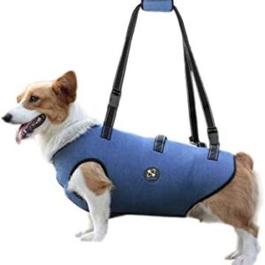 COODEO Dog Lift Harness, Pet Support & Rehabilitation Sling Lift Adjustable Padded Breathable Straps for Old, Disabled, Joint Injuries, Arthritis, Loss of Stability Dogs Walk (Extra Small)