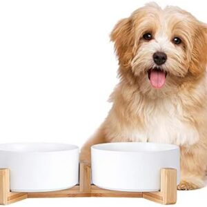 Ceramic Dog Bowl Set- Cat Dog Bowls with Non Slip Wood Stand - No Spill Double Pet Dish for Food Water Feeding (3.6 Cup-Suitable for medium sized dog)