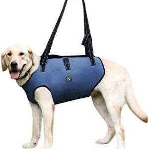 COODEO Dog Lift Harness, Pet Support & Rehabilitation Sling Lift Adjustable Padded Breathable Straps for Old, Disabled, Joint Injuries, Arthritis, Loss of Stability Dogs Walk (XXLarge)