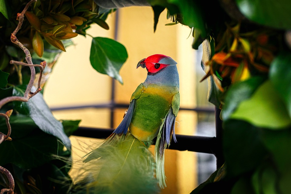 Understanding Parrot Behavior: How Hanging Toys Affect Their ...