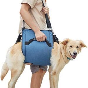 Dog Carry Sling, Emergency Backpack Pet Legs Support & Rehabilitation Dog Lift Harness for Nail Trimming, Dog Carrier for Senior Dogs Joint Injuries, Arthritis, Up and Down Stairs(XXLarge)