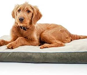 Brindle Shredded Memory Foam Dog Bed with Removable Washable Cover-Plush Orthopedic Pet Bed - 28 x 18 inches - Khaki