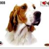 Quattroerre Sticker Setter Dog, 14 x 16 cm